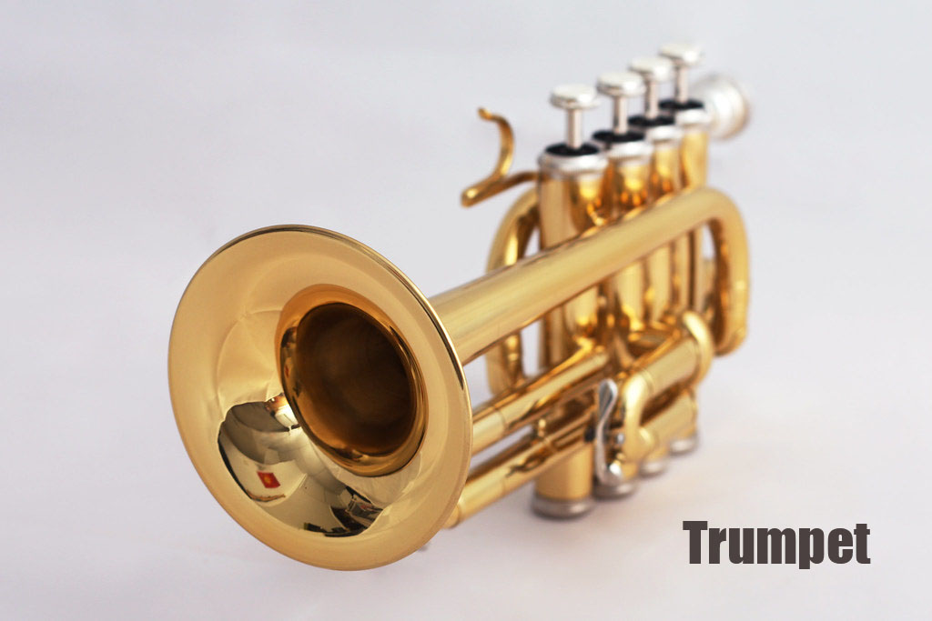 trumpet Musical Instrument