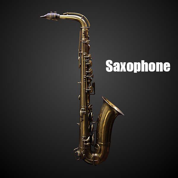 saxophone Musical Instrument